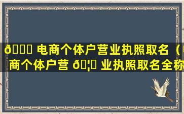 🐘 电商个体户营业执照取名（电商个体户营 🦆 业执照取名全称怎么取）